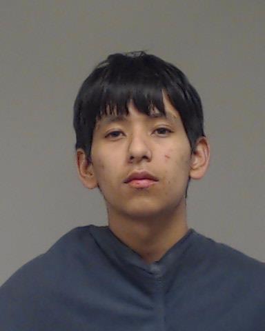 AYALA-YANEZ, DIEGO ALEJANDRO booking photo