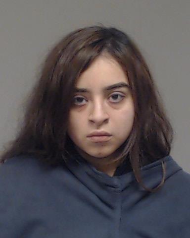 Zavala Ortuno, Karen Ytzayana arrested by Collin County Sheriff’s Office