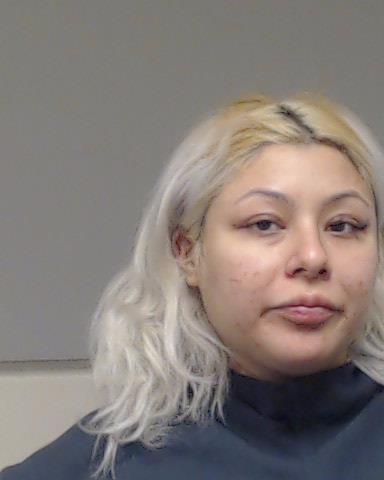 RAMIREZ, LESLIE MICHELLE booking photo
