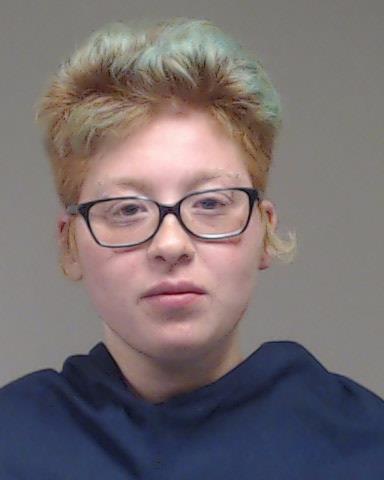 Nasr, Dalia Renee Hazim booking photo