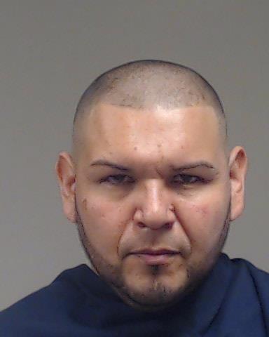 Salas, David Ibarra booking photo