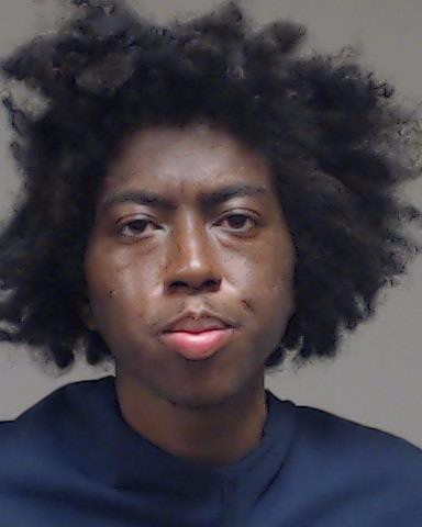 Brown, Christopher Anthony booking photo