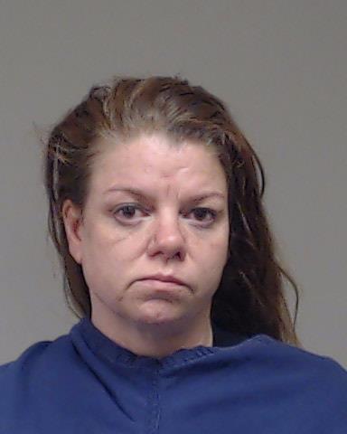 FINK, TRACY LYNN booking photo
