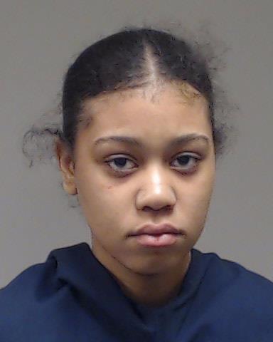 Gibson, Sierra arrested by Anna Police Department