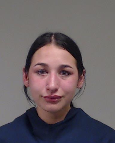 Andrade, Aryn booking photo