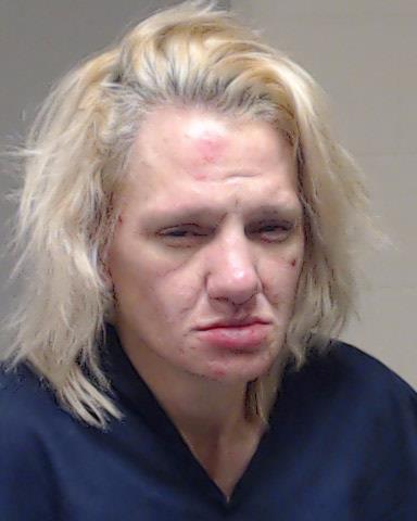 Flowers, Chelsea Jain booking photo