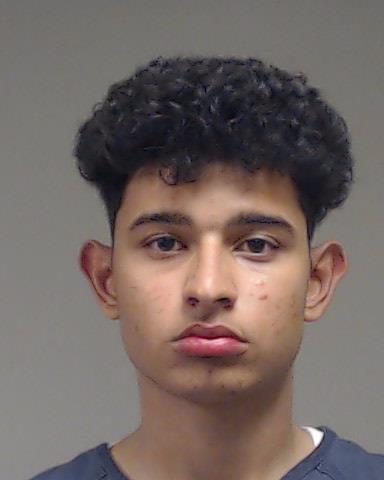 FONSECA, IGAN RERISON arrested by Allen Police Department