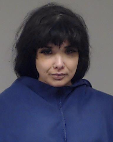 Arista, Julie arrested by Plano Police Department
