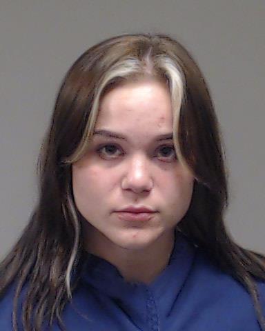 Sullivan, Shelbi Kate arrested by Anna Police Department