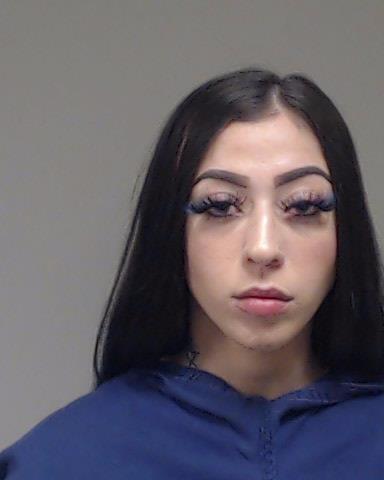 Salvetti, Michelle booking photo