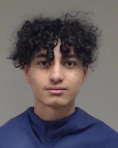 Altaani, Abdulsalam Radwan booking photo