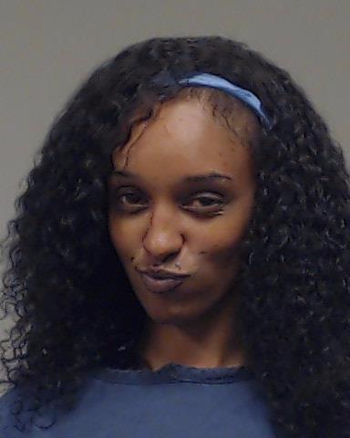 Tadesse, Hiwote T booking photo