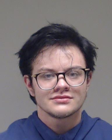 Lyne, April Nicole booking photo