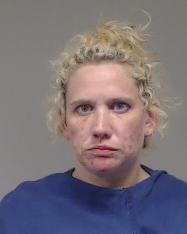 Johnson, Megan Elise booking photo