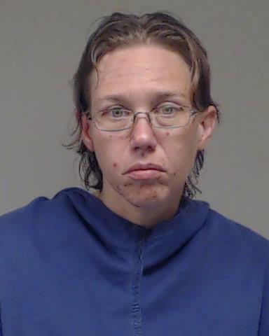 Wilson, Sarah Nicole arrested by McKinney Police Department