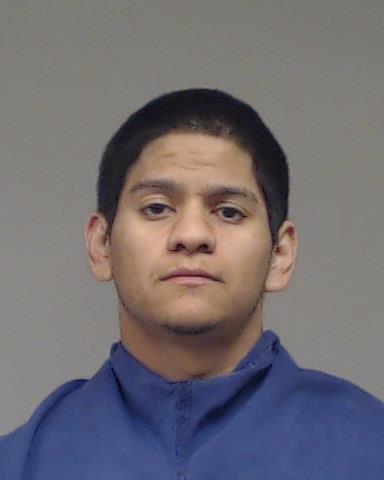 Camarillo, Steven arrested by Anna Police Department