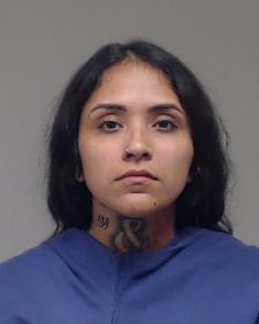 Gamez Espino, Synthia Michelle booking photo