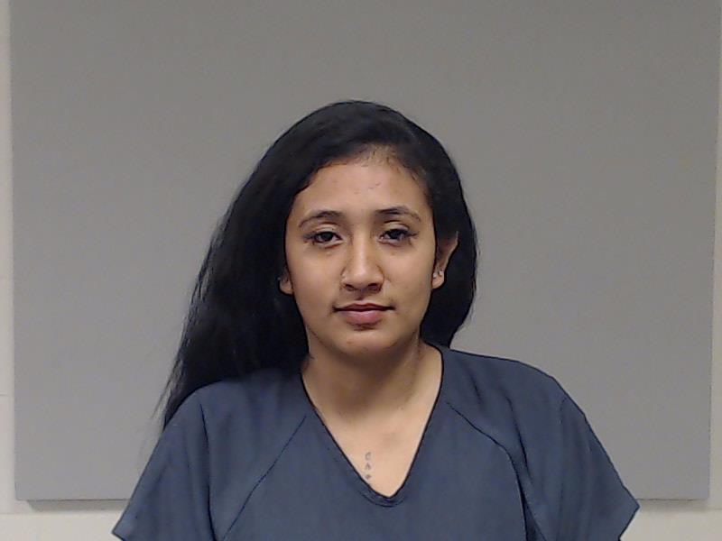 Martinez, Michel Camila booking photo