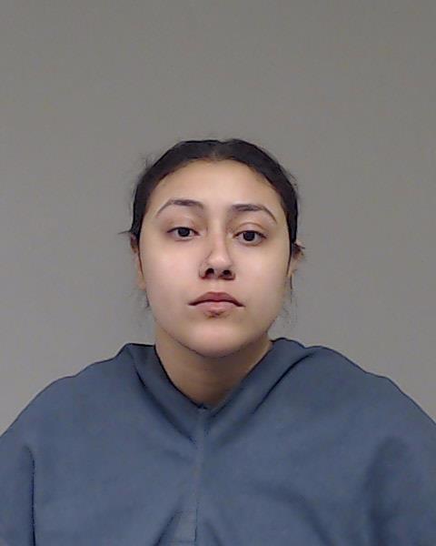 ALEJANDRI, NICOLE booking photo
