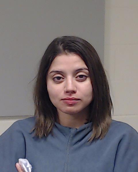 Martinez Granillo, Amanda booking photo