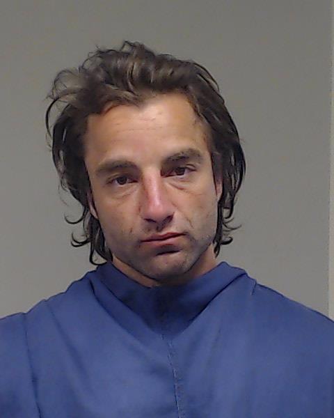 Pucci, Andrei Francis booking photo