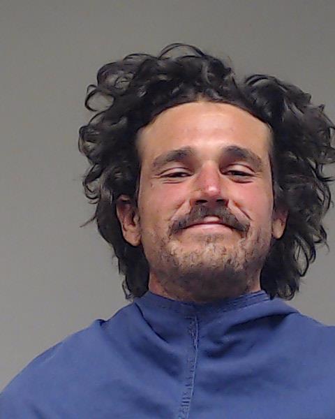 Downey, Michael David booking photo