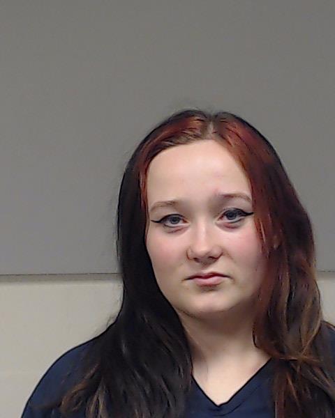 Ellis, Gia Christine booking photo