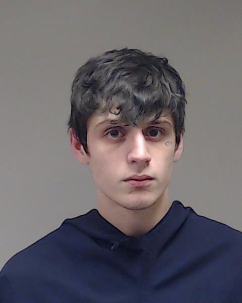 Betts, Gabriel Louise booking photo