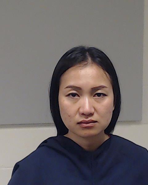 DOWNING, PAILIN booking photo