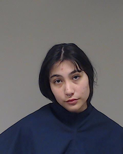 Lieou, Jordan Tevy booking photo