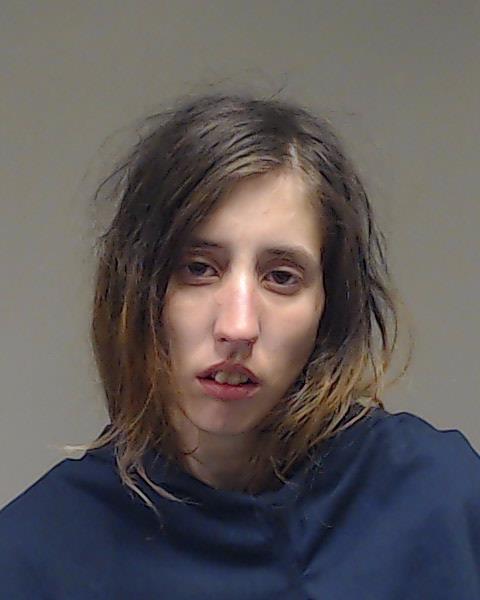 Renteria, Sabrina Grace booking photo