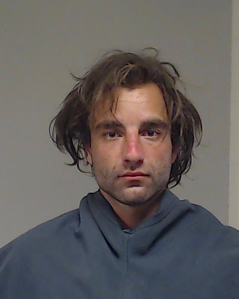 Pucci, Andrei Francis booking photo