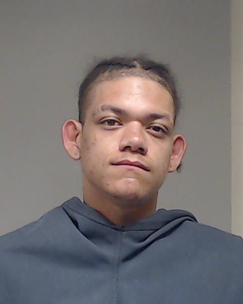 ROBERSON, JACOB TYLER booking photo