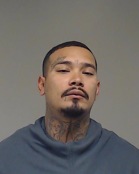 Capetillo, David booking photo