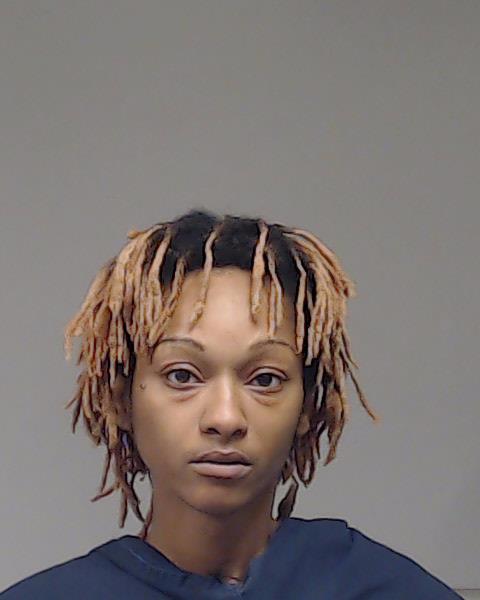 Greer, Chelsea Donica booking photo