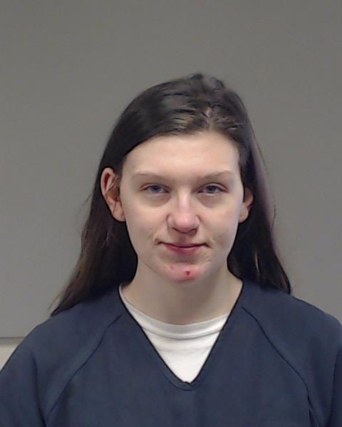 Johnson, Alanis Andrea booking photo
