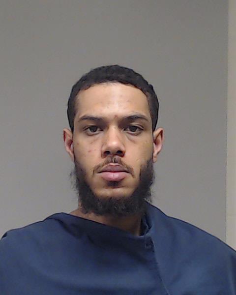 HANKINS, DAKOTA R booking photo