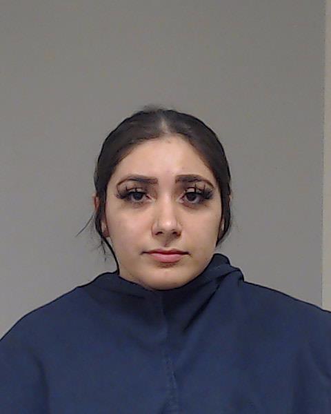 Larios, Susana Alejandra booking photo