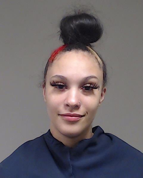 Hamilton, Ashley Renee booking photo