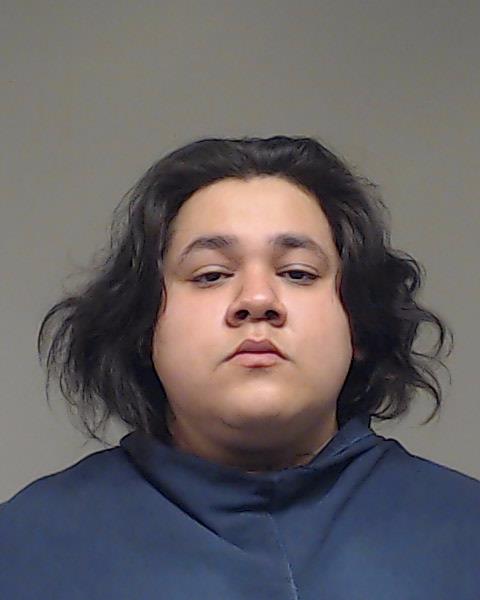 Barron, Hector Angel arrested by Allen Police Department