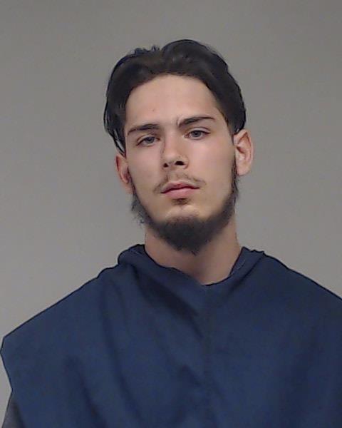 Stapleton, Brandon Ii arrested by Anna Police Department