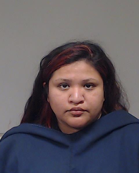Schmidt, Fausta Alyssa booking photo