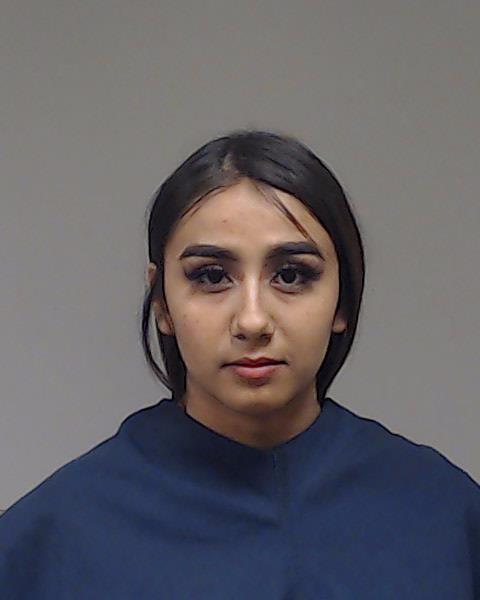 Buendia, Sheila Andrea booking photo