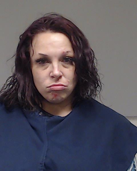 HALL, DANIELLE MARIE arrested by Plano Police Department