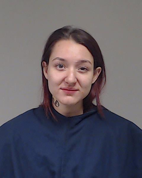 TAMEZ, LILLIAN ELAINE booking photo