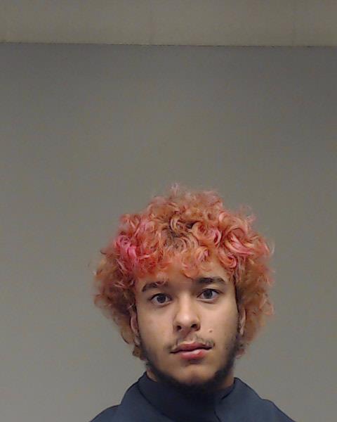 Williams, Jonathan Carter booking photo