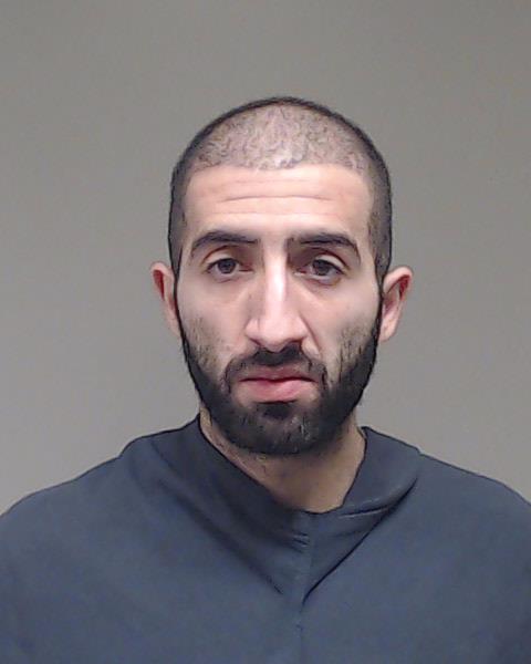 Ghica, Gabriel booking photo