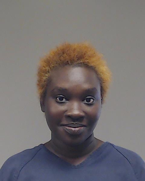 Top, Nyanpal Lul arrested by Collin County SO/PD