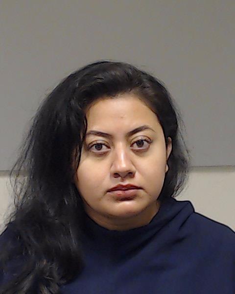 Briones Castillo, Sandra booking photo