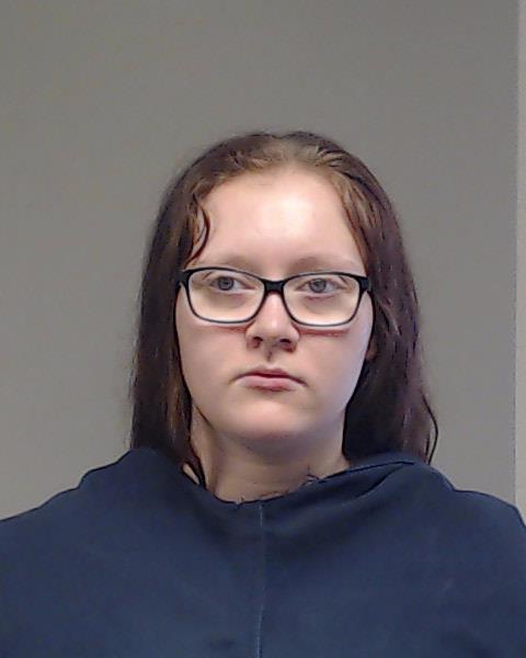 Lee, Hailey Michelle booking photo